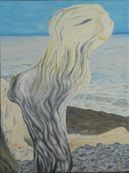 vaesen-paa-stranden